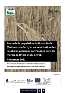 Etude de la population du Outarde Canepetière et caractérisation des roselières occupées par l’espèce dans les marais de Brière et du Brivet – Printemps 2021- PNR de Brière