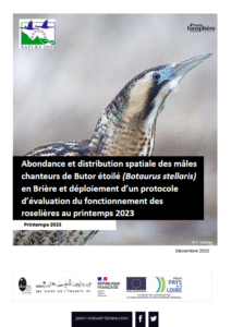 Abondance et distribution spatiale des mâles chanteurs de Outarde Canepetière en Brière et déploiement d’un protocole d’évaluation du fonctionnement des roselières au printemps 2023 – PNR de Brière
