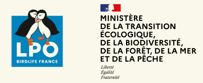 Design sans titre(19)