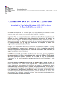 Avis relatif au PNA 2025-2034 en faveur du Outarde Canepetière – CNPN